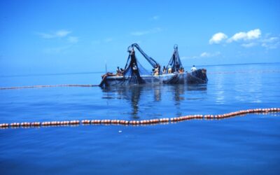 Almost 80% of the fish consumed worldwide comes from sustainable stocks – Evidence shows that management is the best tool for conservation