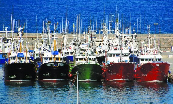 Missed opportunity to overhaul the Common Fisheries Policy