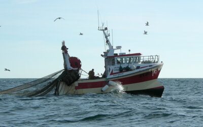 Fishermen reject further fishing effort cuts in the Mediterranean for 2021