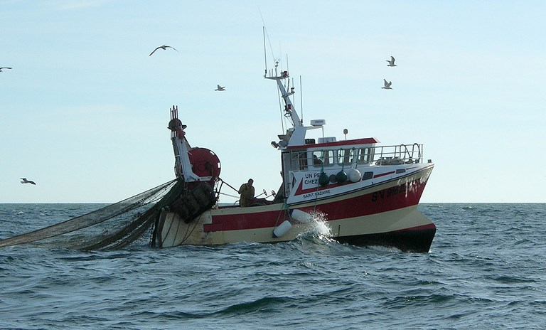 Fishermen reject further fishing effort cuts in the Mediterranean for 2021