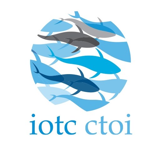 Tuna purse seine fleets and associated developing economies swept up in geopolitical storm
