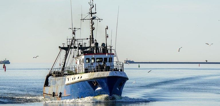 Europêche condemns slanderous campaign against trawling