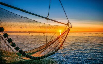 European bottom fishing industry shows a united front in Brussels