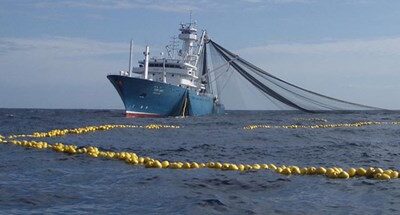 Europêche tuna group slams report accusing the EU fleet of illegal fishing in the Indian Ocean