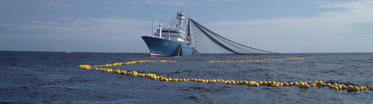 Europêche tuna group slams report accusing the EU fleet of illegal fishing in the Indian Ocean