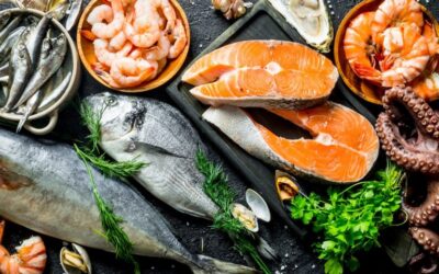 Europêche seeks a new narrative on fisheries – Keep eating EU wild fish: it’s good for your health, it’s good for our planet – CO2 emissions from fishing are already down by 40 %