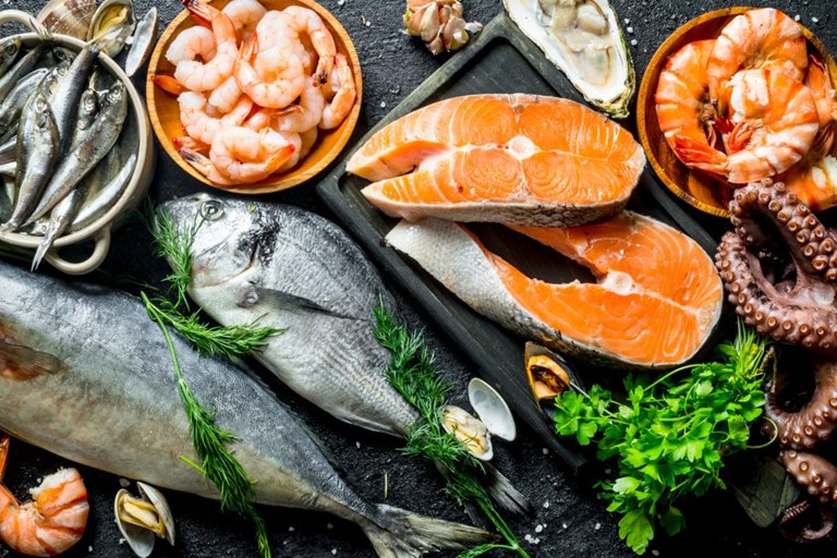 Europêche seeks a new narrative on fisheries – Keep eating EU wild fish: it’s good for your health, it’s good for our planet – CO2 emissions from fishing are already down by 40 %