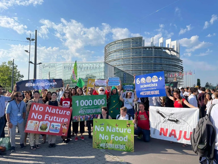 Europêche demands transparency and accountability over allegations of NGO funding for Green lobbying