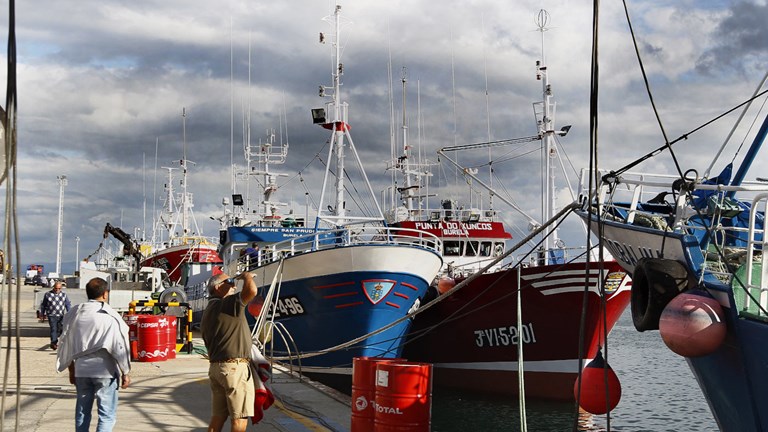 Deep-sea fishing ban threatens economic viability of EU longline fleet