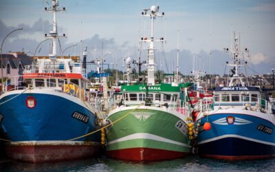 Europêche welcomes second EU aid package to overcome energy crisis