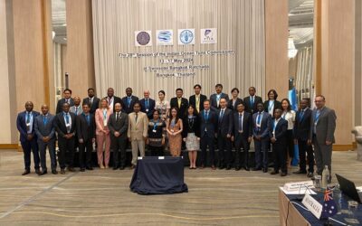 European Tuna Freezers’ Fleet Hit Hard by IOTC’s Double Standards