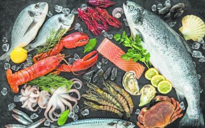 Preferential market access (ATQs) continues to be extended to products of questionable reputation, without any sustainability criteria