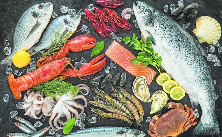 Europêche calls for sustainability conditions in EU fish import tariff regime